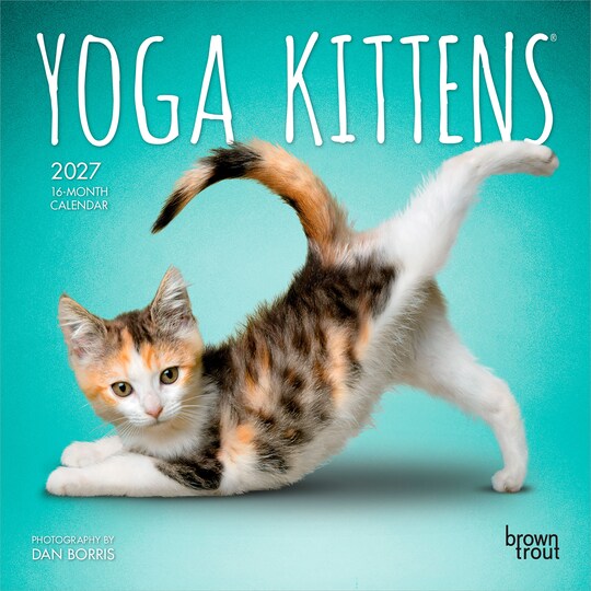 BrownTrout; Yoga Kittens OFFICIAL | 2027 7 x 14 Inch (Hanging) Monthly Mini Wall Calendar; Category:Wall Calendars; Image:1